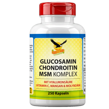 MSM Komplex mit Glucosamin, Chondroitin, Hyaluronsäure, Mangan und Molybdän, Dose mit 250 Hartgelatine-Kapseln