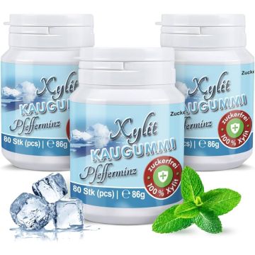 Xylit Kaugummi Pfefferminz, Dose mit 80 Stück