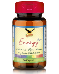 Energy hp Multi Vitamin & Mineral, 90 Kapseln