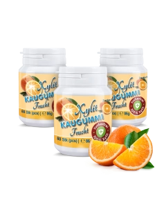 Xylit Kaugummi Fruchtig-Frisch, Dose mit 80 Stück