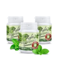 Xylit Kaugummi Spearmint, Dose mit 80 Stück