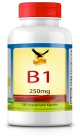 Vitamin B1 a 250mg, 180 Kapseln 