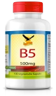 Vitamin B5 a 500mg, 100 Kapseln