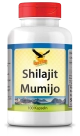 Shilajt Mumijo 100 Kapseln
