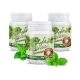 Xylit Kaugummi Spearmint, Dose mit 80 Stück