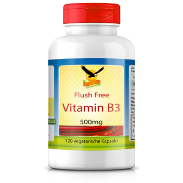 Vitamin B3 Niacinamid a 500mg, 120 veg. Kapseln