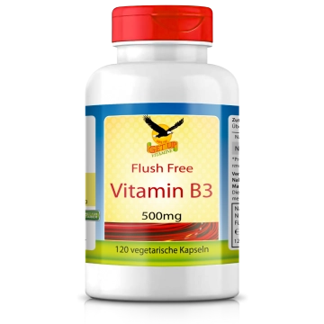 Vitamin B3 Niacinamid a 500mg, 120 veg. Kapseln