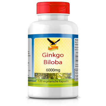 Gingko Biloba 6.000 mg, 120 vegetarische Kapseln