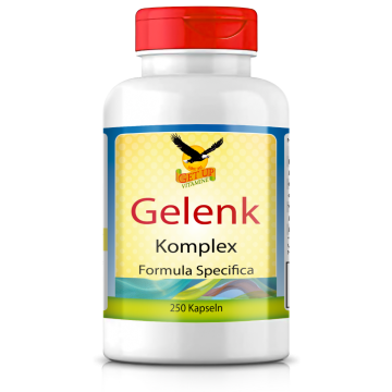 MSM Komplex mit Glucosamin, Chondroitin, Hyaluronsäure, Mangan & Molybdän, 250 Hartgelatine-Kapseln
