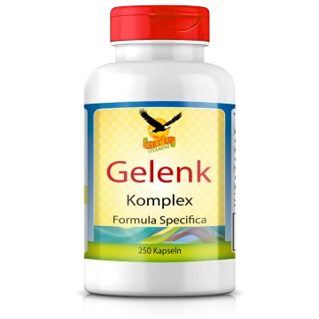 Gelenk Komplex, 250 Hartgelatine Kapseln