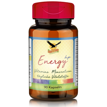 Energy hp Multi Vitamin & Mineral, 90 Kapseln