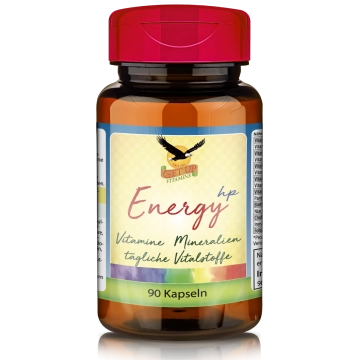 Energy hp Multi Vitamin & Mineral, 90 Kapseln