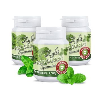 Xylit Kaugummi Spearmint, Dose mit 80 Stück
